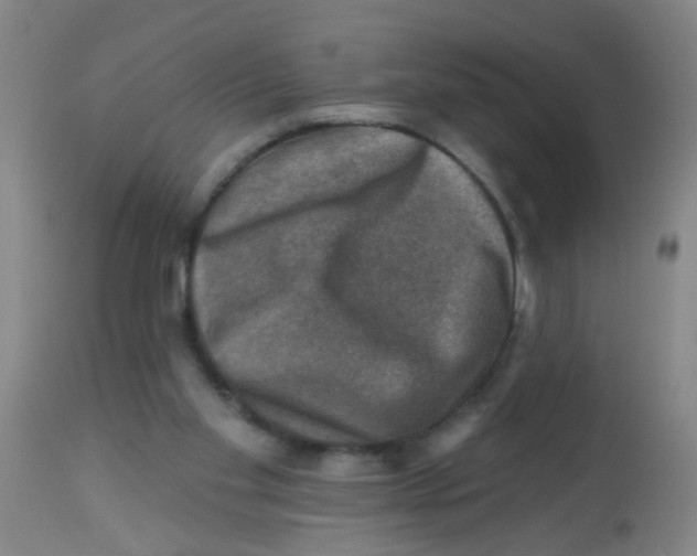 X0000113860109200910221450