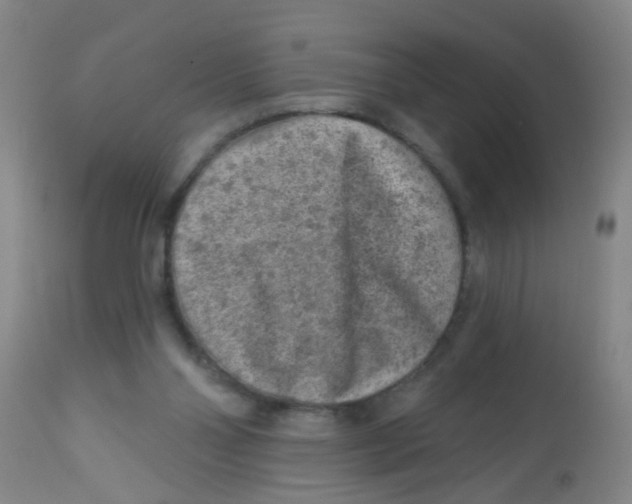 X0000113860110200910221450