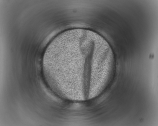 X0000113860111200910221450