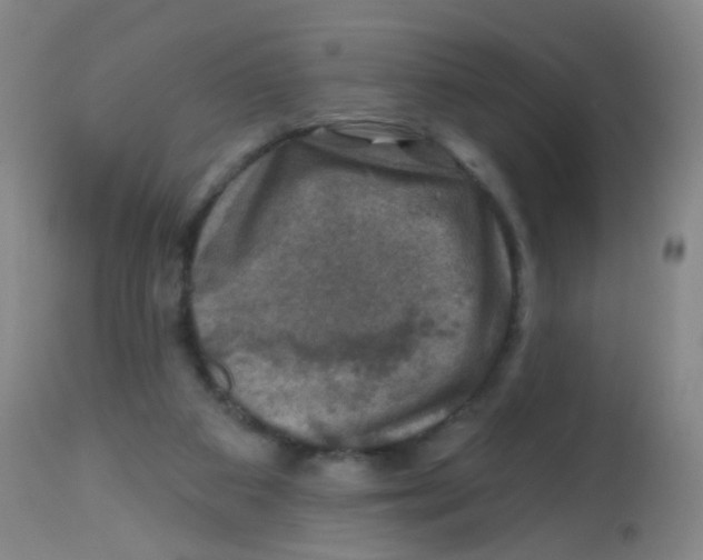 X0000113860113200910221450