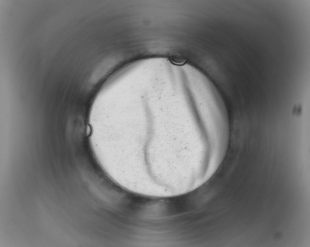 X0000113860116200910221450