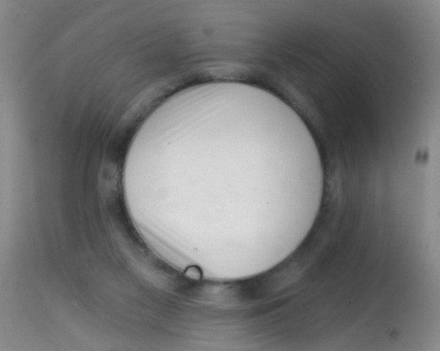 X0000113860117200910221450