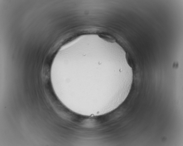 X0000113860119200910221450