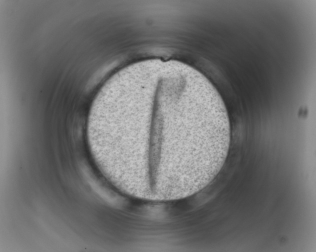 X0000113860120200910221450