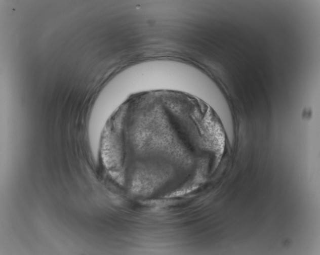 X0000113860121200910221450