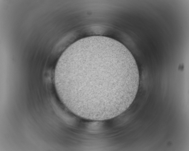 X0000113860122200910221450