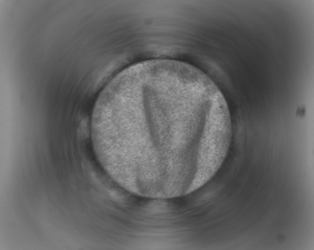 X0000113860123200910221450