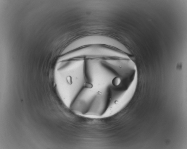 X0000113860125200910221450