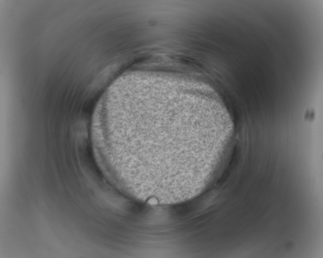 X0000113860127200910221449