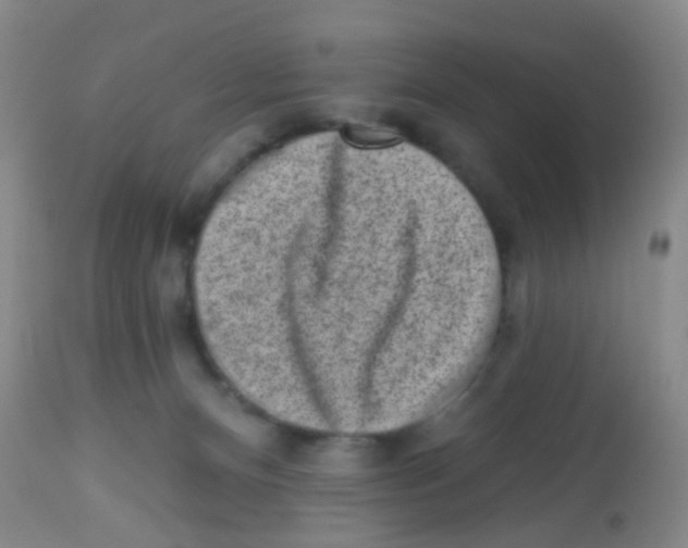 X0000113860128200910221449