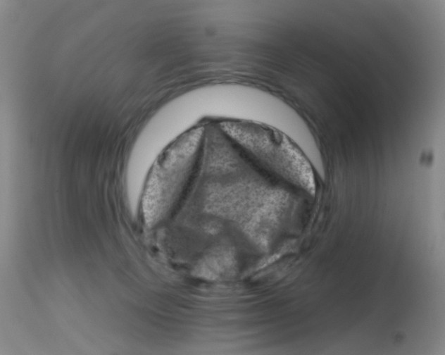 X0000113860129200910221449