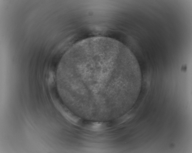 X0000113860130200910221449