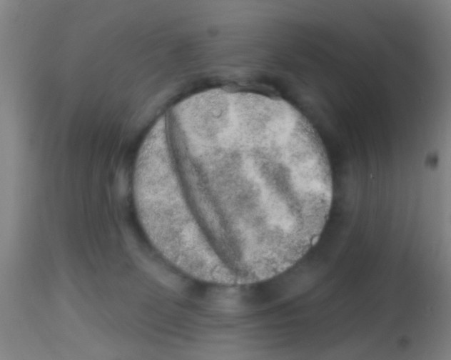X0000113860131200910221449