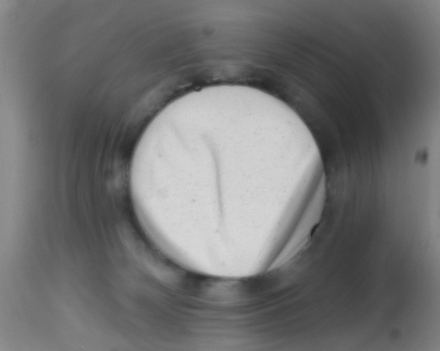 X0000113860132200910221449