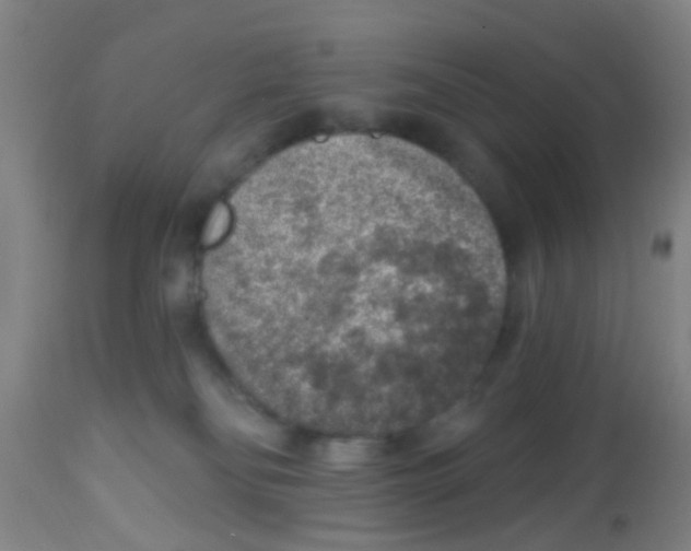 X0000113860134200910221449