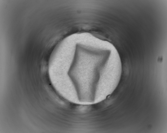 X0000113860135200910221449
