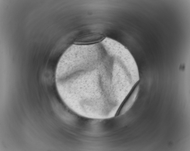 X0000113860136200910221449