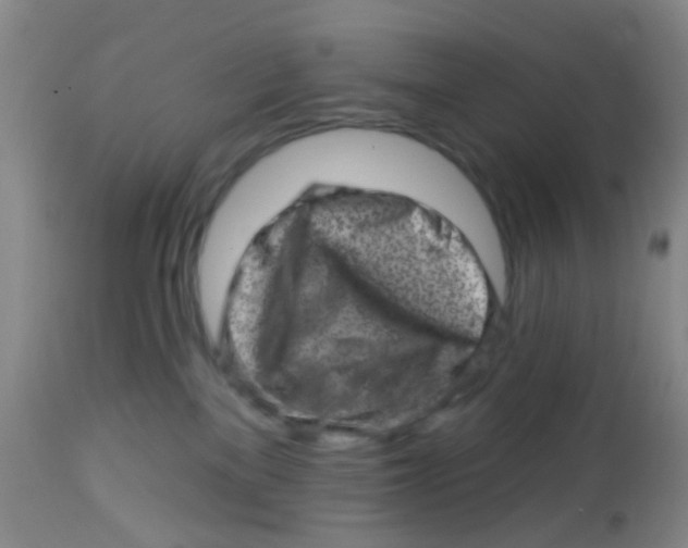 X0000113860137200910221449