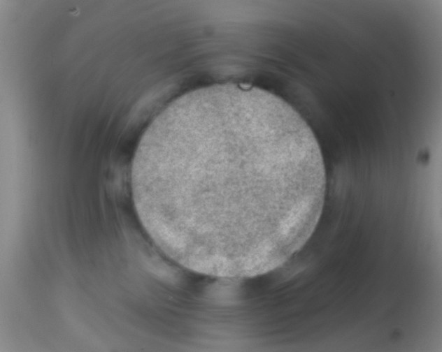 X0000113860138200910221449