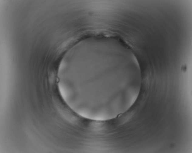 X0000113860139200910221449