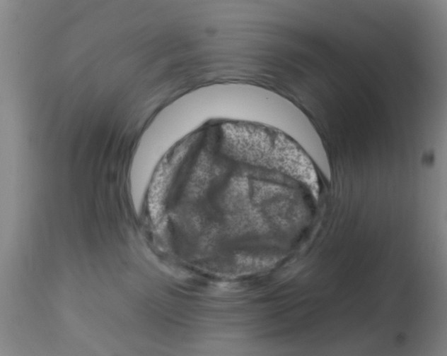 X0000113860141200910221449