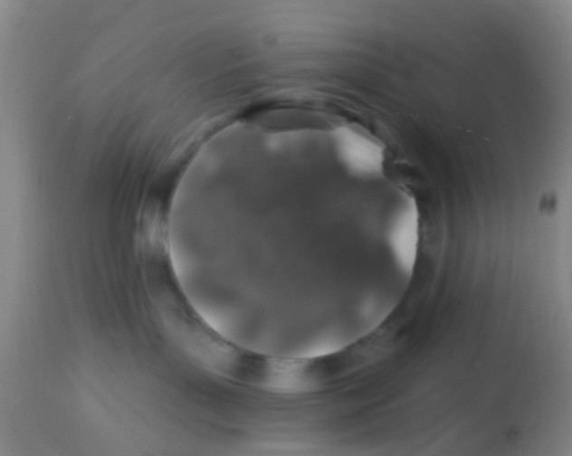 X0000113860143200910221449