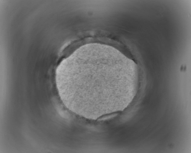 X0000113860144200910221449
