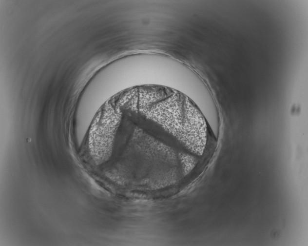X0000113860145200910221448