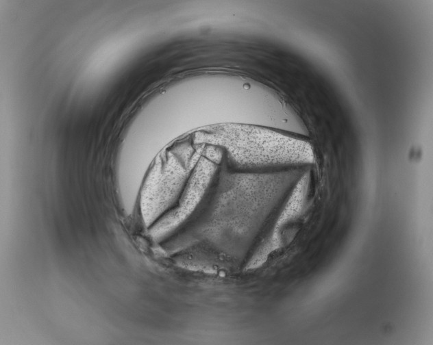 X0000113860146200910221448