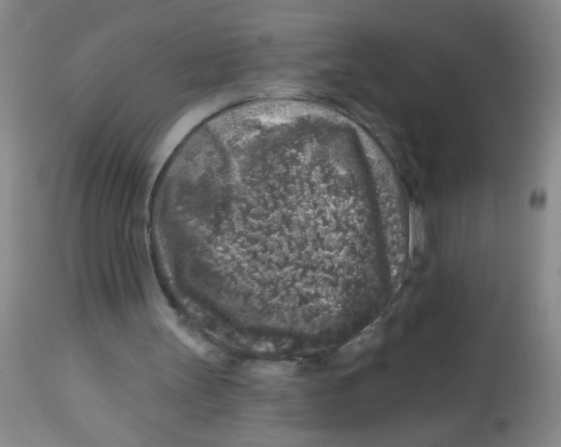 X0000113860147200910221448