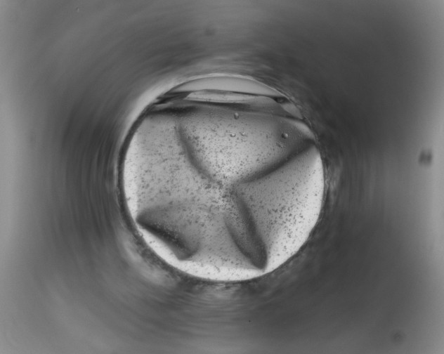 X0000113860148200910221448