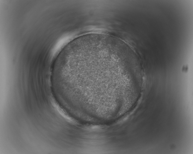 X0000113860149200910221448