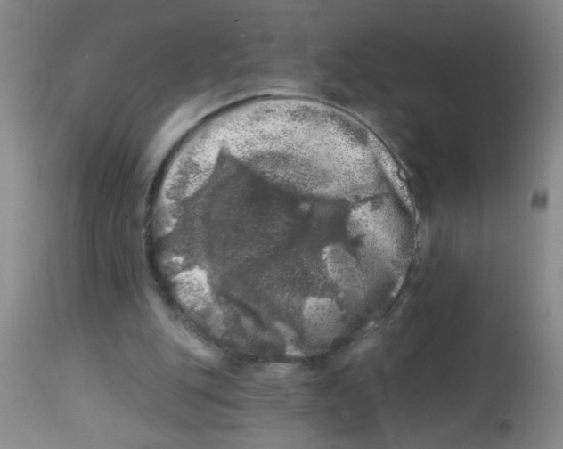 X0000113860151200910221448