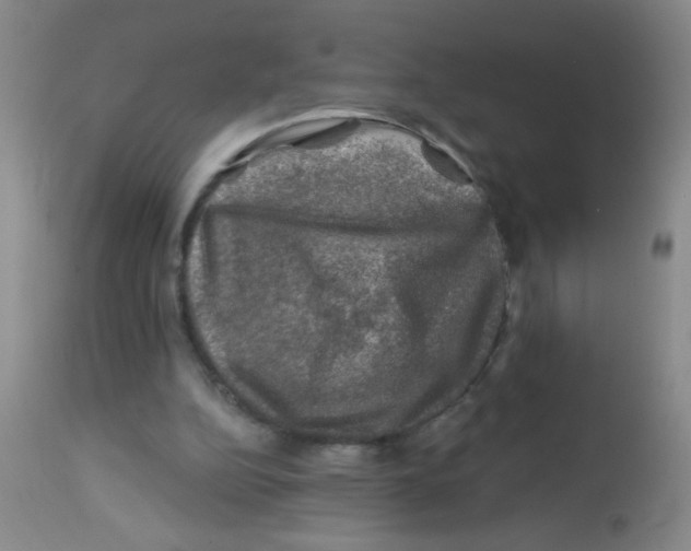 X0000113860152200910221448