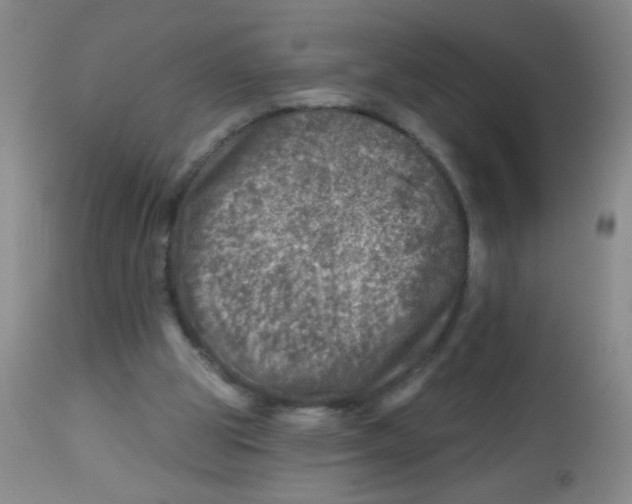 X0000113860153200910221448