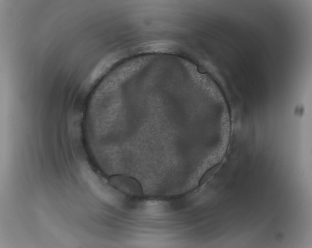 X0000113860154200910221448