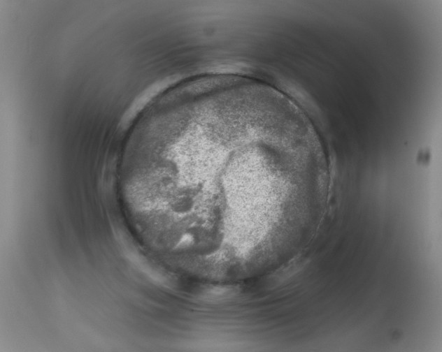 X0000113860155200910221448