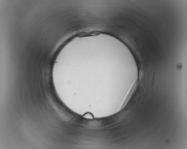 X0000113860156200910221449