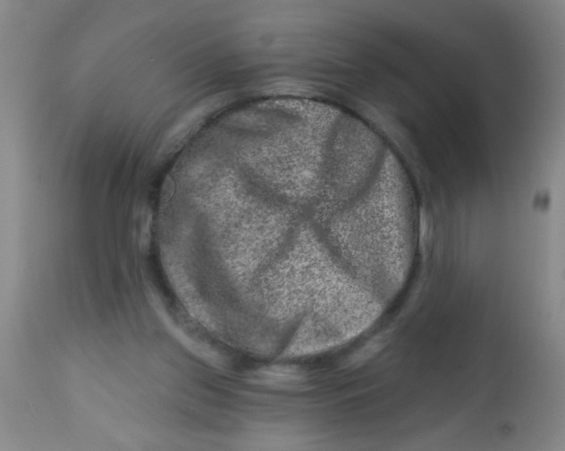 X0000113860157200910221449