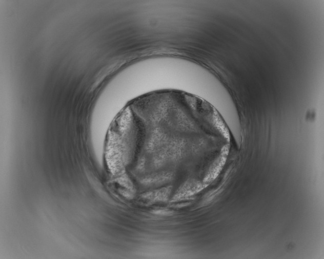 X0000113860158200910221449