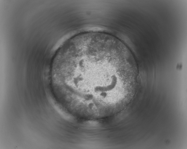 X0000113860159200910221449