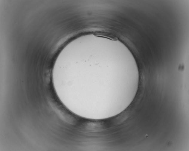 X0000113860160200910221449