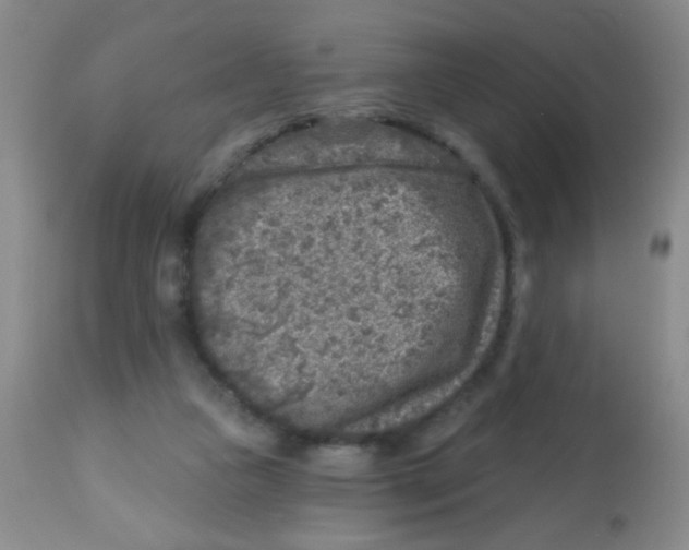 X0000113860161200910221449