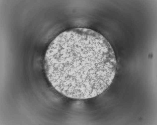 X0000113860162200910221449