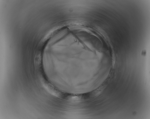 X0000113860163200910221449