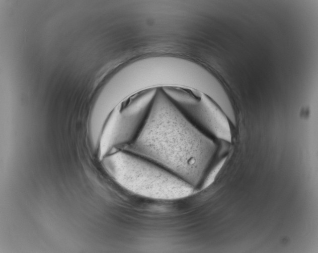 X0000113860164200910221449