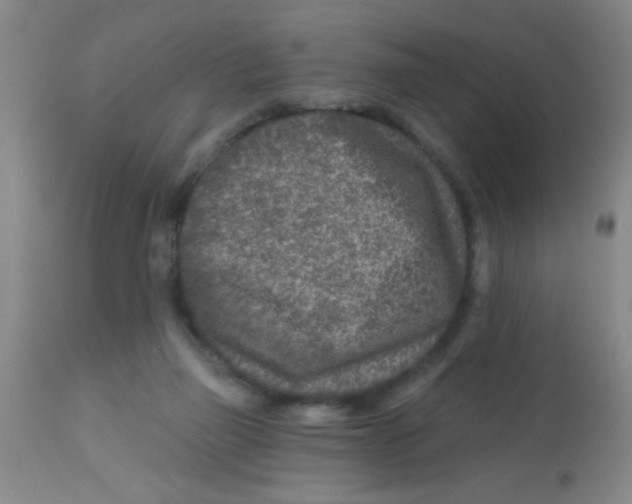 X0000113860165200910221449