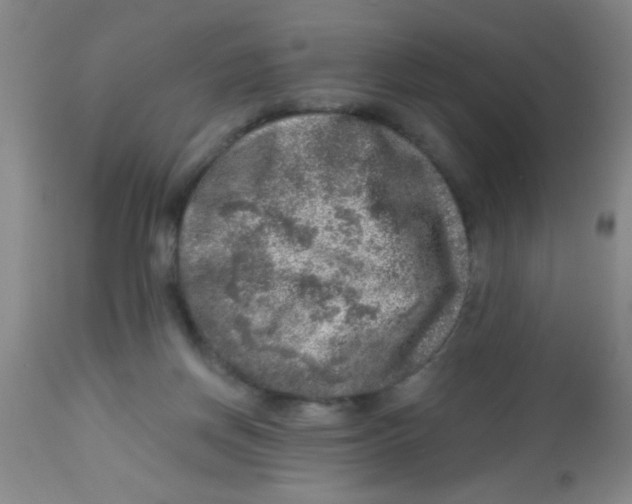 X0000113860166200910221449
