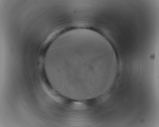 X0000113860167200910221449