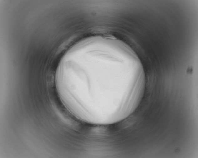 X0000113860168200910221449